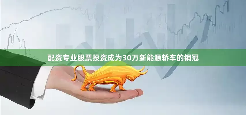 配资专业股票投资成为30万新能源轿车的销冠