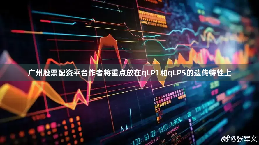 广州股票配资平台作者将重点放在qLP1和qLP5的遗传特性上