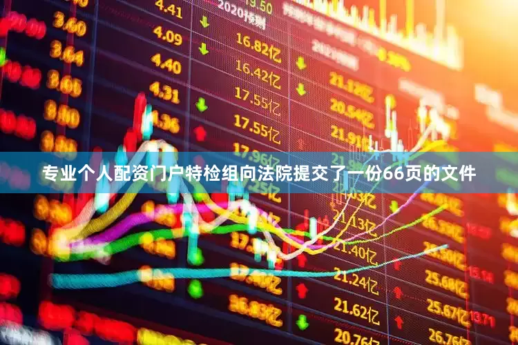 专业个人配资门户特检组向法院提交了一份66页的文件