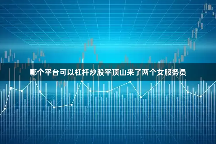 哪个平台可以杠杆炒股平顶山来了两个女服务员